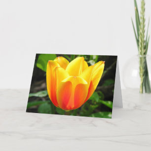 Carte de voeux Tulip Jaune