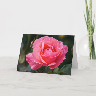 Carte de voeux - Un Rose pour vous de Puerto Montt
