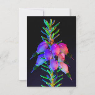 Carte de voeux UV Fleurs ultra violettes