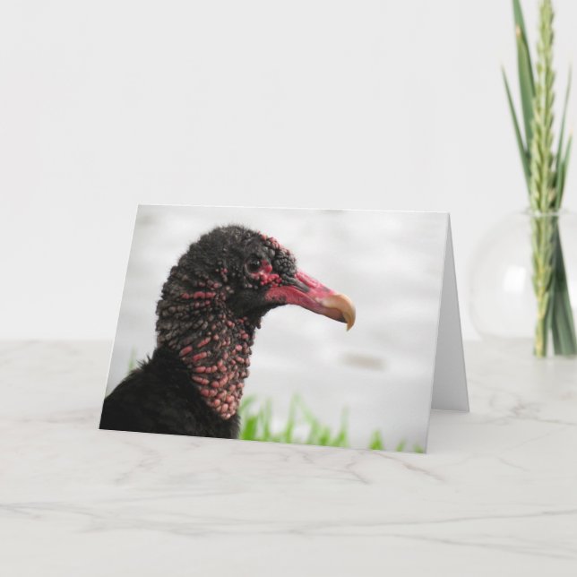 Carte de voeux Vautour Noir (Devant)
