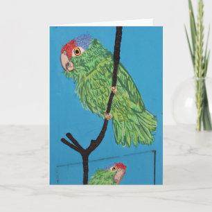 carte de voeux verte perroquet