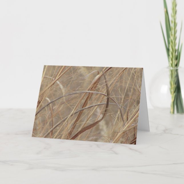 Carte de voeux vierge (Devant)