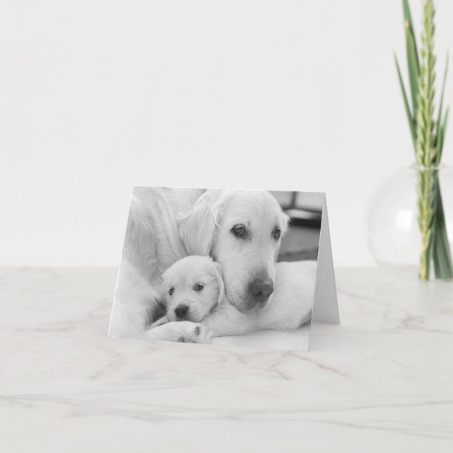 Carte de voeux vierge (Devant)