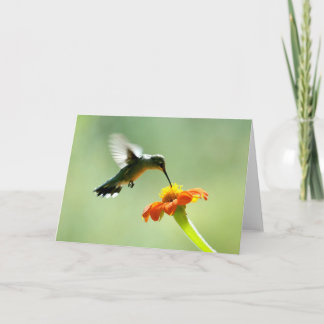 Carte de voeux vierge avec colibri et fleur