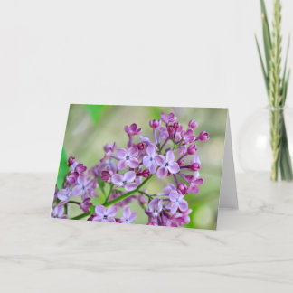 Carte de voeux vierge avec Fleurs Lilac