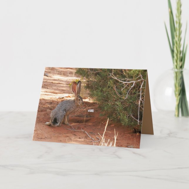 Carte de voeux vierge avec Jackrabbit dans le dése (Devant)