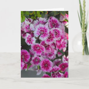 Carte de vœux vierge avec petites fleurs roses