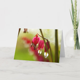 Carte de voeux vierge avec photo de Coeurs saignan