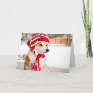 Carte de vœux vierge Chien Corgi avec singe en cha