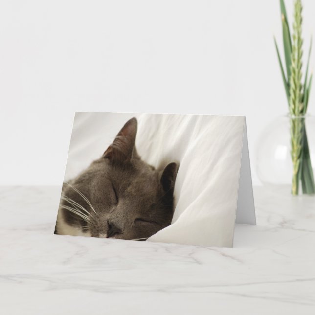Carte de voeux vierge de chat mignon de sommeil (Devant)
