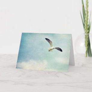 Carte de voeux vierge de mouette