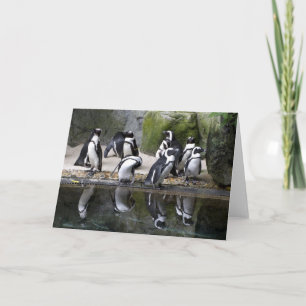 Carte de voeux vierge de pingouin