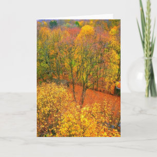 Carte de voeux vierge 'Fiery Autumn'