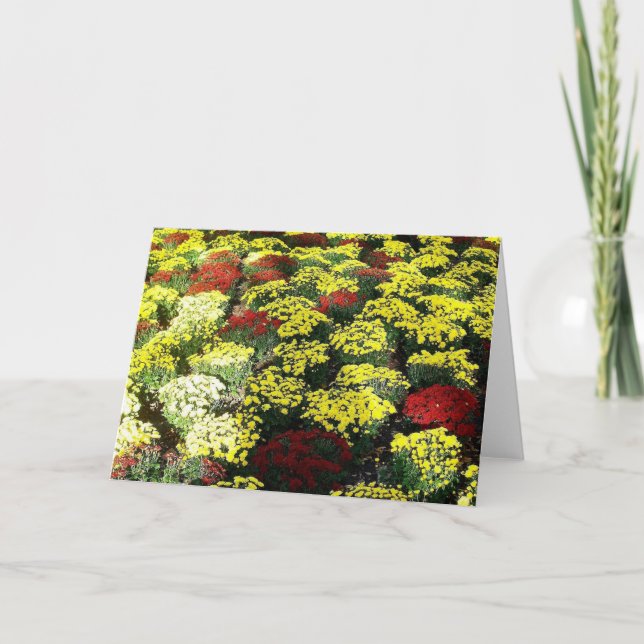 Carte de voeux vierge 'Fleurs d'automne' (Devant)