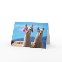 Carte de voeux vierge - Llamas