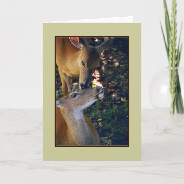 Carte de voeux vierge 'Nuzzling Deer Duo' (Devant)