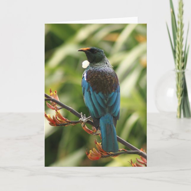 Carte de voeux vierge : NZ Tui Bird (Devant)