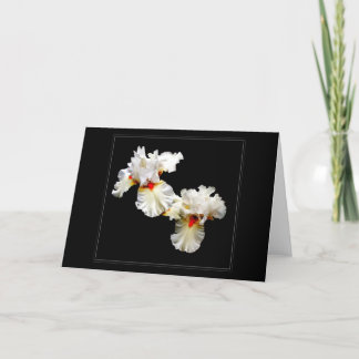 Carte de voeux vierge 'Ruffles'