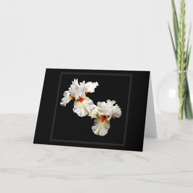 Carte de voeux vierge 'Ruffles' (Devant)