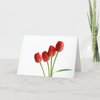 Carte de voeux vierge tulipes rouges