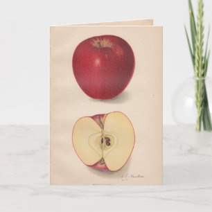 Carte de voeux vintage pour les pommes