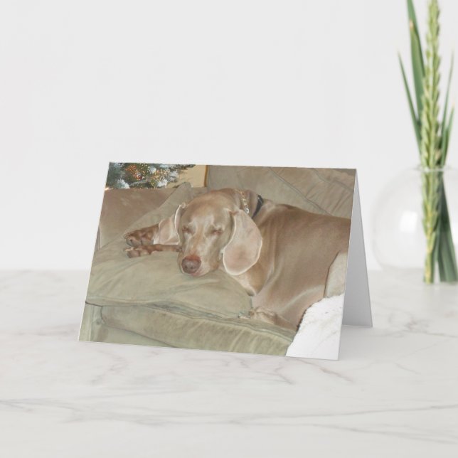 Carte de voeux Weimaraner (Devant)