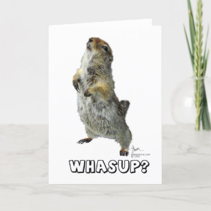 Carte de voeux Whasup