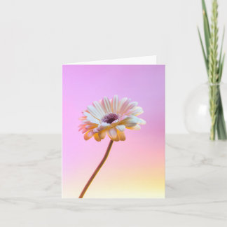 Carte de voeux White Gerbera Daisy