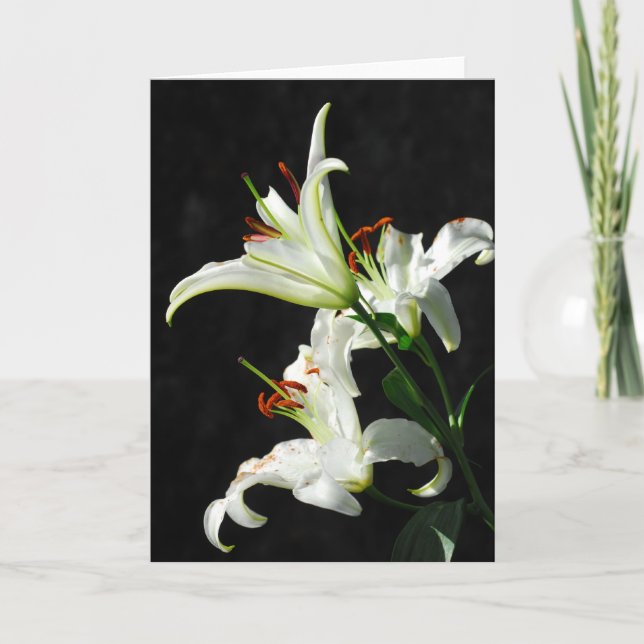 Carte de voeux White Lilies (Devant)
