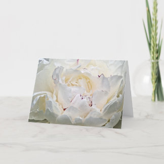 Carte de voeux White Peony Blank