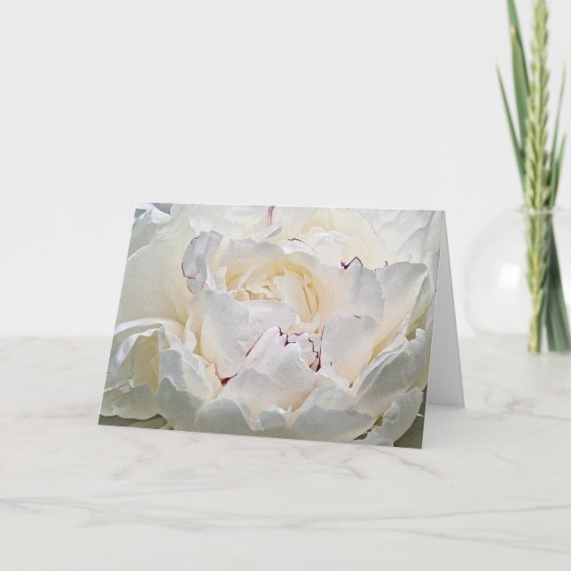 Carte de voeux White Peony Blank (Devant)