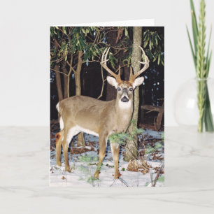 Carte de voeux White Tail Buck