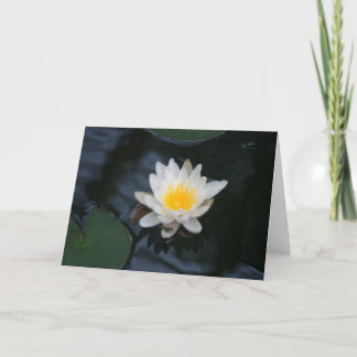 Carte de voeux "White Water Lily"