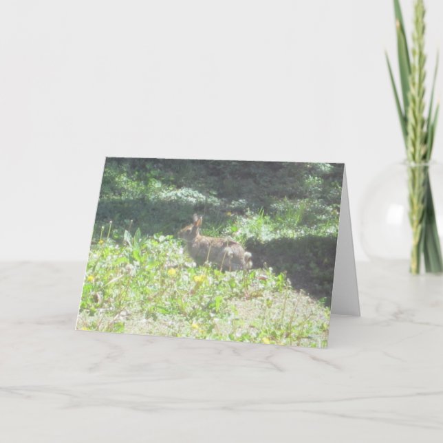 Carte de voeux Wild Bunny (Devant)