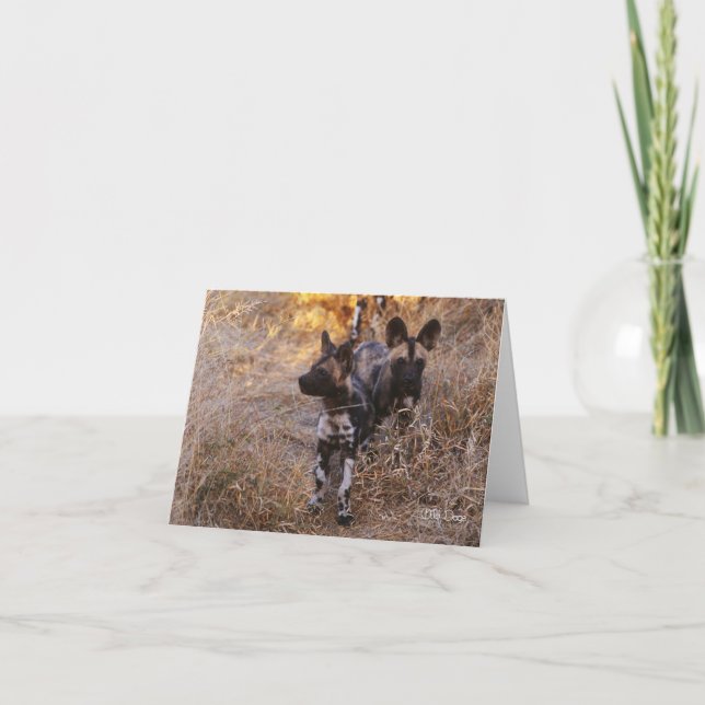 Carte de voeux Wild Dogs (Devant)