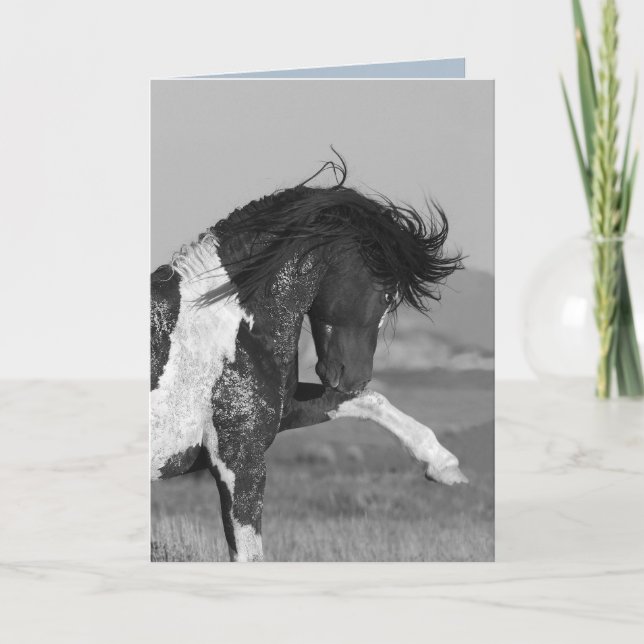 Carte de voeux Wild HOrse en noir et blanc (Devant)