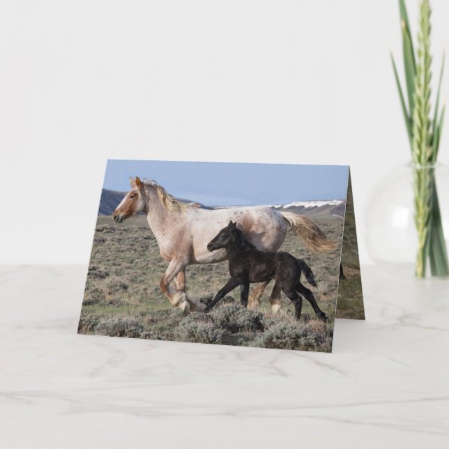 Carte de voeux Wild Horse - Wild Mare et Foot Run (Devant)