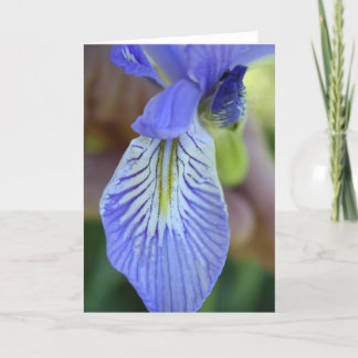 Carte de voeux Wild Iris