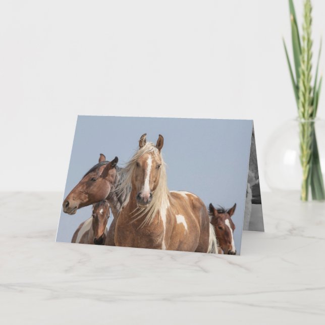 Carte de voeux Wild Palomino Pinto Wild Horse (Devant)