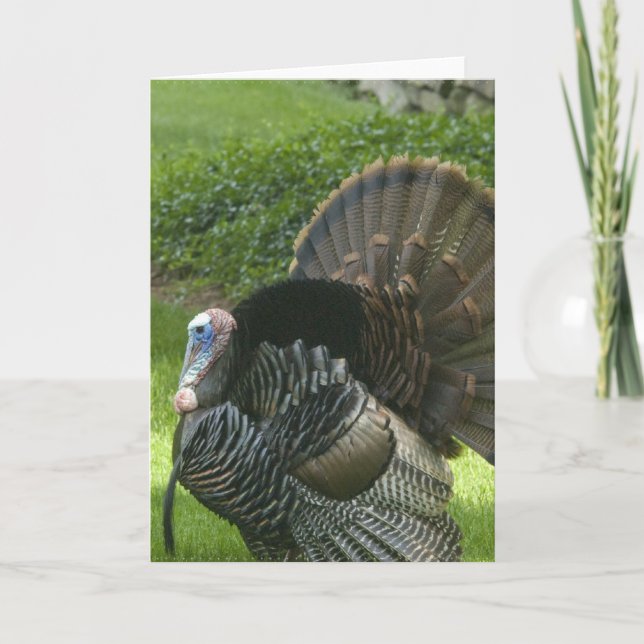 Carte de voeux Wild Turkey (Devant)