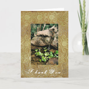 Carte de voeux Woodland Waterfall