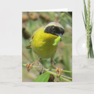 Carte de voeux Yellowthroat