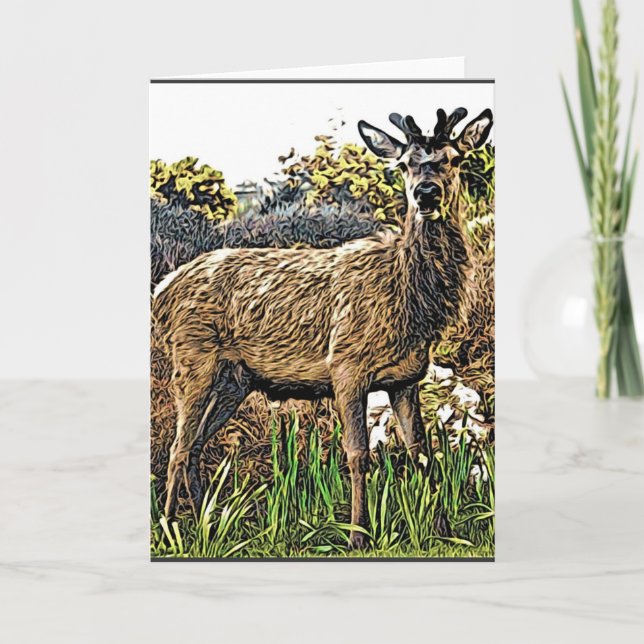 Carte de voeux Young Red Deer (Devant)