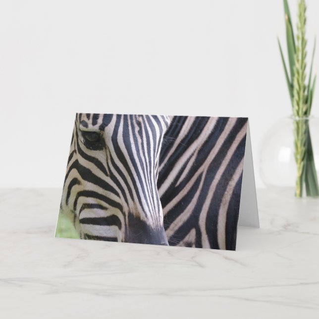 Carte de voeux Zebra (Devant)