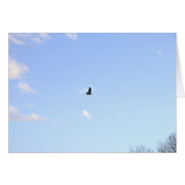 Carte de vol Red Tail Hawk (Devant horizontal)