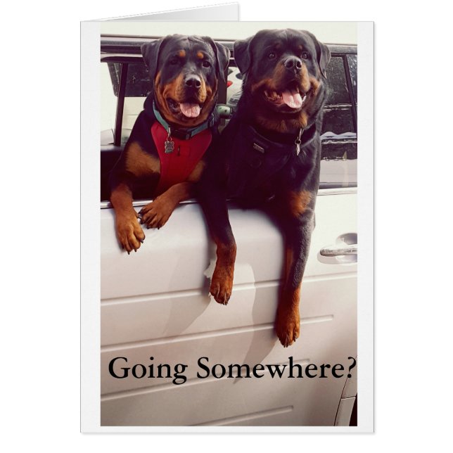 Carte de voyage de fève (Devant)