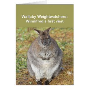 Carte de wallaby