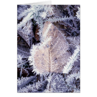 Carte de Winterscapes