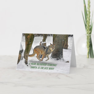 Carte de Wolf Running
