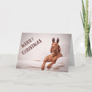 Carte de Xmas / Carte de Christmas "Magyar Vizsla"